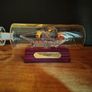 Ship in a Bottle.  The Bounty. Image 5