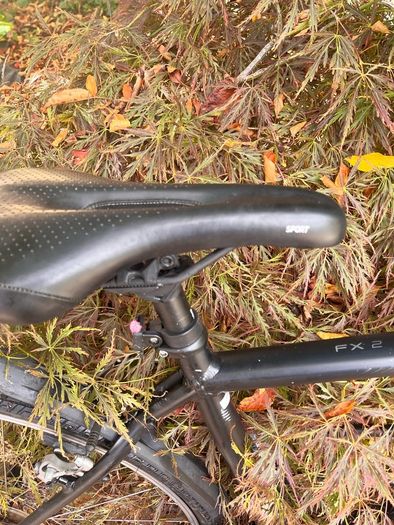 trek bicycle