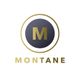 Montane Developments