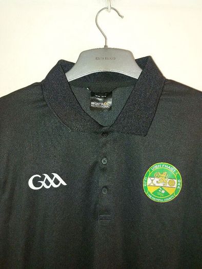 offaly gaa top