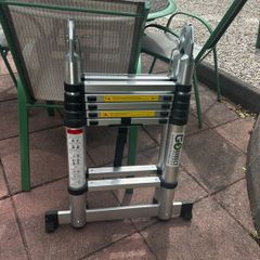 telescopic ladder