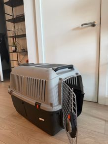 Pet Transport Dog Carrier IATA