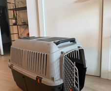 Pet Transport Dog Carrier IATA