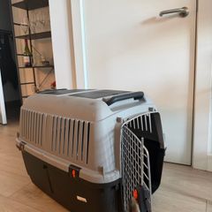 Pet Transport Dog Carrier IATA
