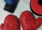 Punching Bag and gloves