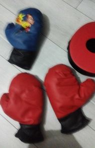 Punching Bag and gloves