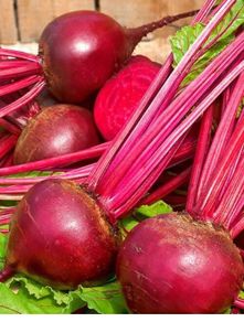 (B) Beetroot seeds Bordo 237 5g (125258)