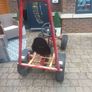 go Kart Image 2