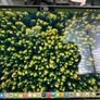 Mac Book Pro 14" M3/ 18 GB Ram/ 500GB Storage Image 6