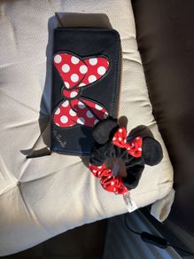 Disney Minnie Mouse wallet and Disneyland Paris hair scrunchie