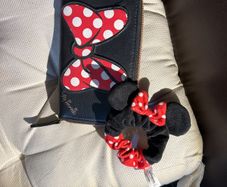 Disney Minnie Mouse wallet and Disneyland Paris hair scrunchie