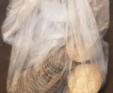 Old Coins