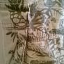 little roche shorts Image 3