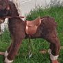Rocking Horse needs TLC Image 2