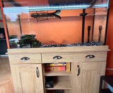 Aquarium, heater, light and filter for sale