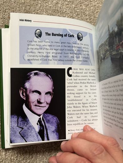 Irish History: From Prehistoric Times to the Present Day by Seamas Mac Annaidh