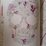 Therapeutic Colouring Books x 2 Image 10