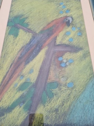 John Gallagher parrot pastel