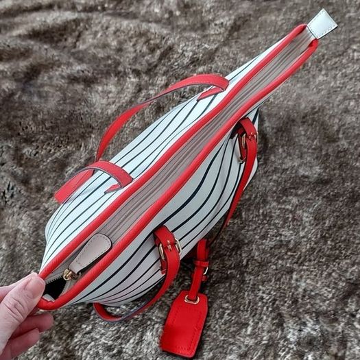 Aldo Striped Tote Bag