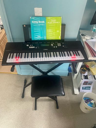 Yamaha ez 220 lightup keys
