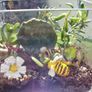 indoor plant Image 4