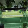 fish tank Image 2
