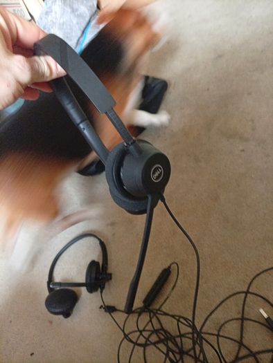 dell headset plantronics