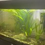 Juwel  125 litre tank and cabinet set Image 4