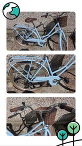 ladies Bike