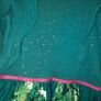 Monsoon winter occasion dress, age 10 Image 3