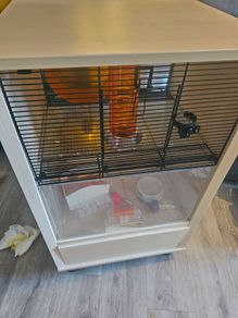 hamster cage