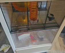 hamster cage