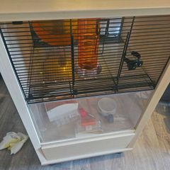 hamster cage