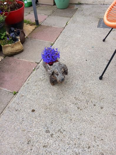 planter