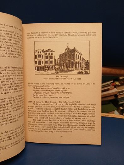 Cooke and Scanlon's Guide to Cork