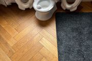 potty and toilet seats