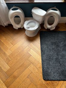 potty and toilet seats