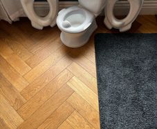 potty and toilet seats
