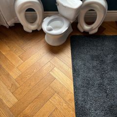 potty and toilet seats