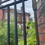 Reclaimed bricks Image 6