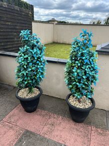trees