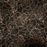Coast brown and black Bodice Image 2