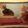 Vintage Dinner Tray Image 3