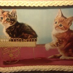 Vintage Dinner Trays
