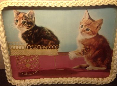 Vintage Dinner Trays