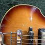 Greco VB-500 Violin Bass Sunburst 1983 Image 5