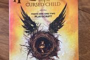 book. Harry potter and the cursed child