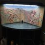 Fish tank Image 5