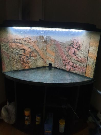 Fish tank