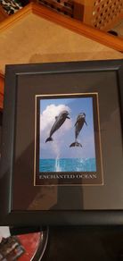 Black Wooden Framed Picture of Dolphins